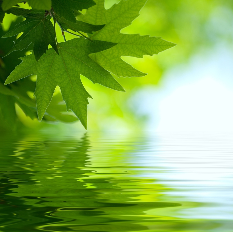 More on Mindfulness…